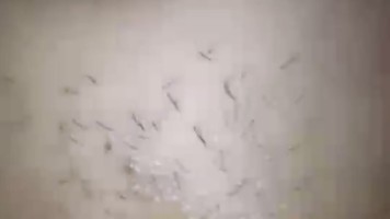 Bokep Premium Sex Lubang Pantat Sakit di Anal Cewenya Sampe Istighfar