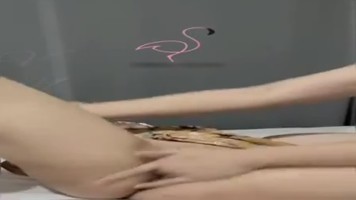 Bokep Ngentot – Bokep Indo Cantik Dicolmekin Sampai Sange