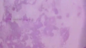 Gadis 19yo Jilbab Hitam Joget Binal